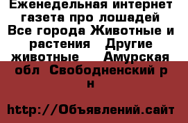 Еженедельная интернет - газета про лошадей - Все города Животные и растения » Другие животные   . Амурская обл.,Свободненский р-н